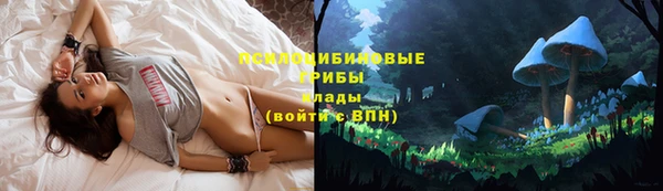 spice Балахна