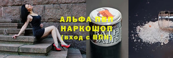 сатива Баксан