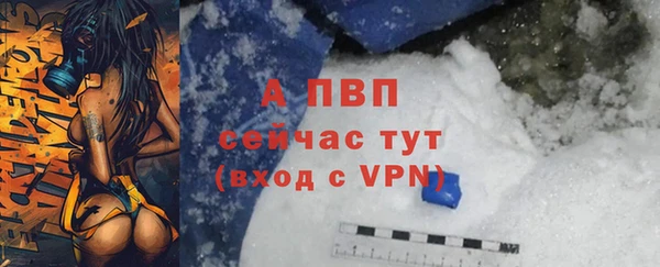 винт Няндома