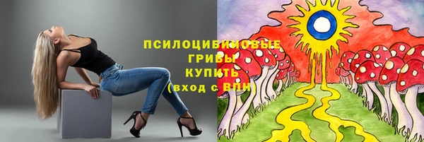 сатива Баксан