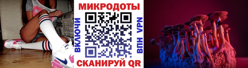 hydra ССЫЛКА  Лесной  Псилоцибиновые грибы Psilocybe  купить наркотик 